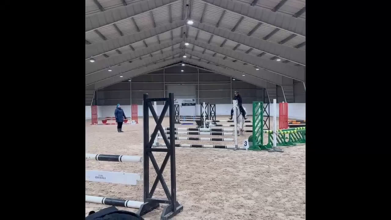 Allround hästar till salu: Mycket trevlig Allround D-ponny  - Video 3