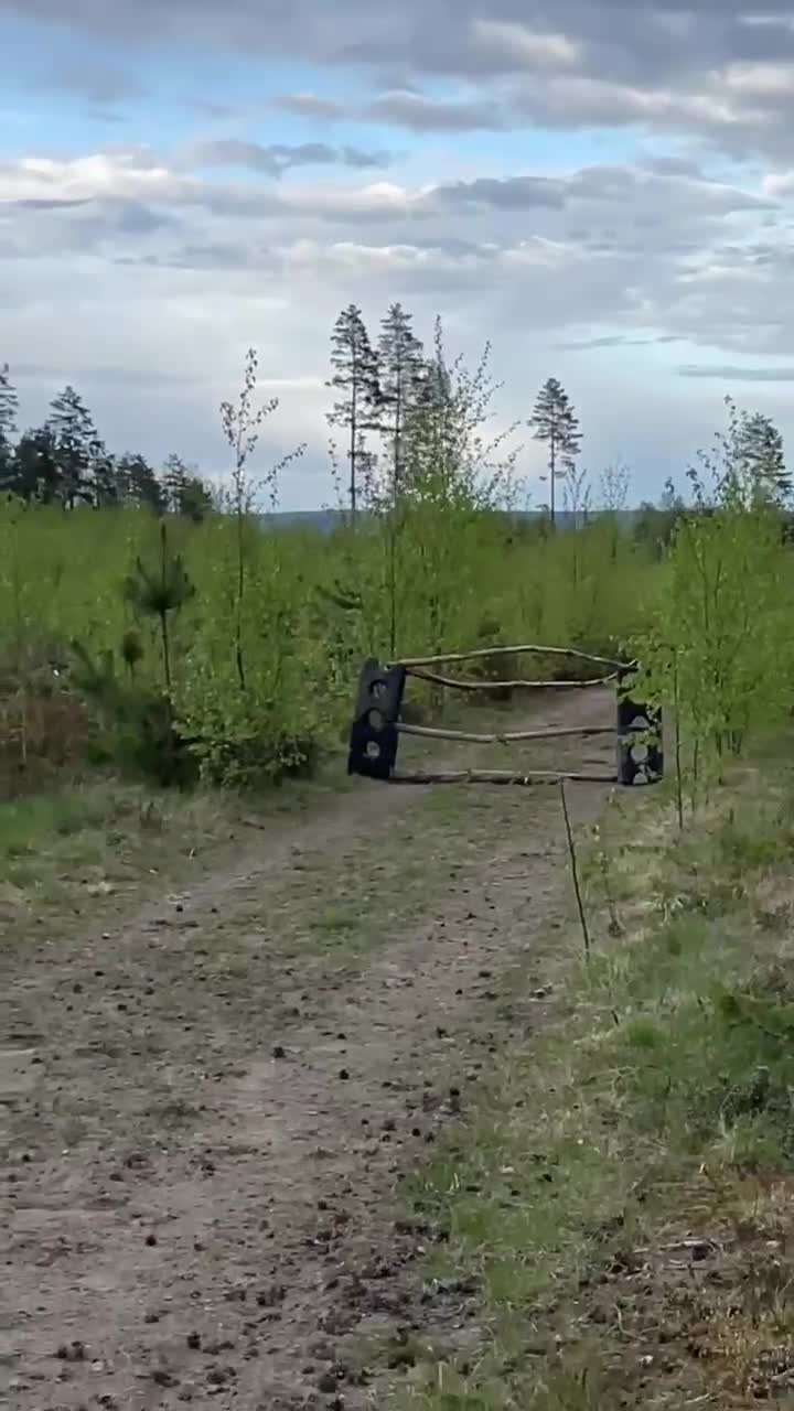 Allround hästar till salu: Snäll läromästare, bästa vän!  - Video 2