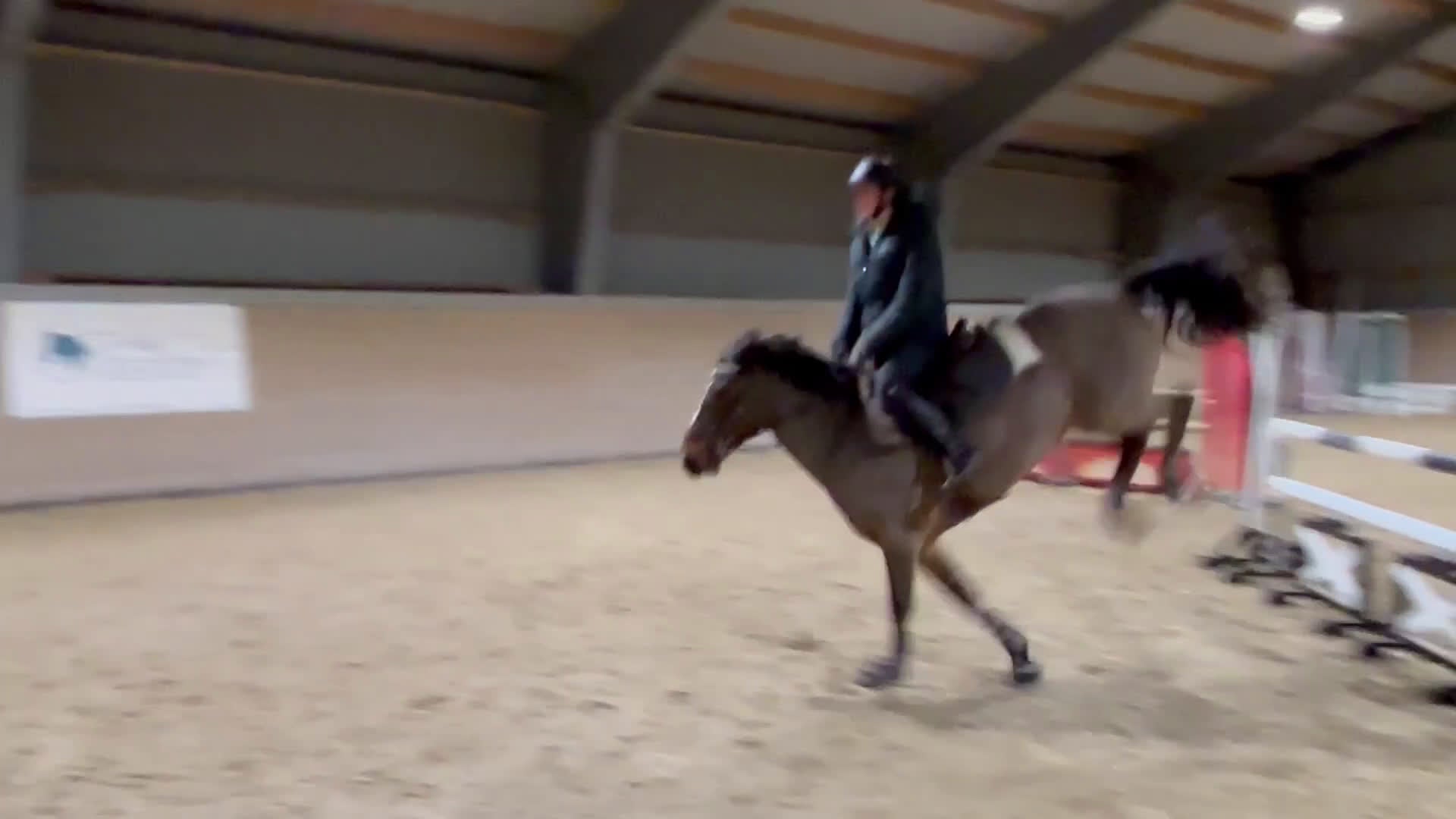 Hoppning hästar till salu: Maxad c-ponny i Ingelstad - Video 1