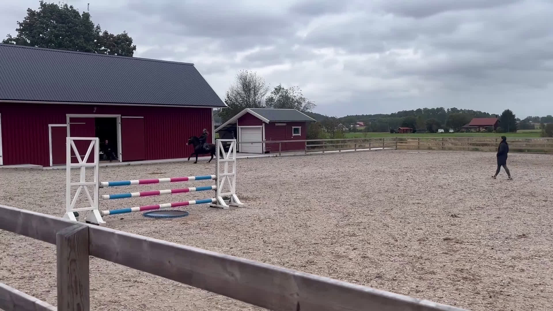 Hoppning hästar till salu: Maxad B-ponny! i Göteborg - Video 2