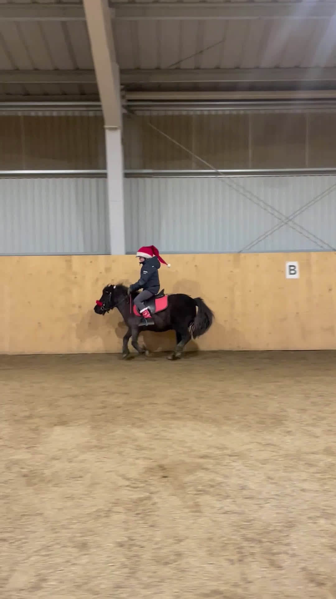 Sällskap hästar till salu: Social glad tjej i Eskilstuna - Video 2