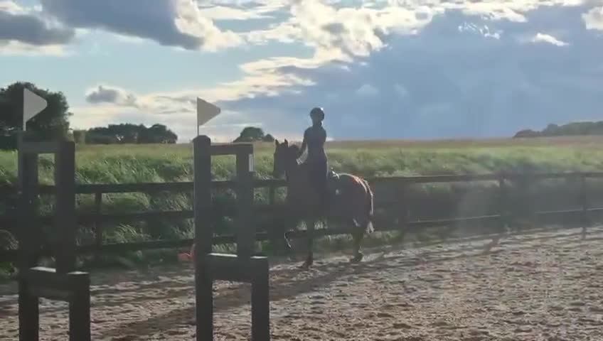 Hoppning hästar till salu: Mysig 3-åring med 140-mamma och fin framtid - Video 2