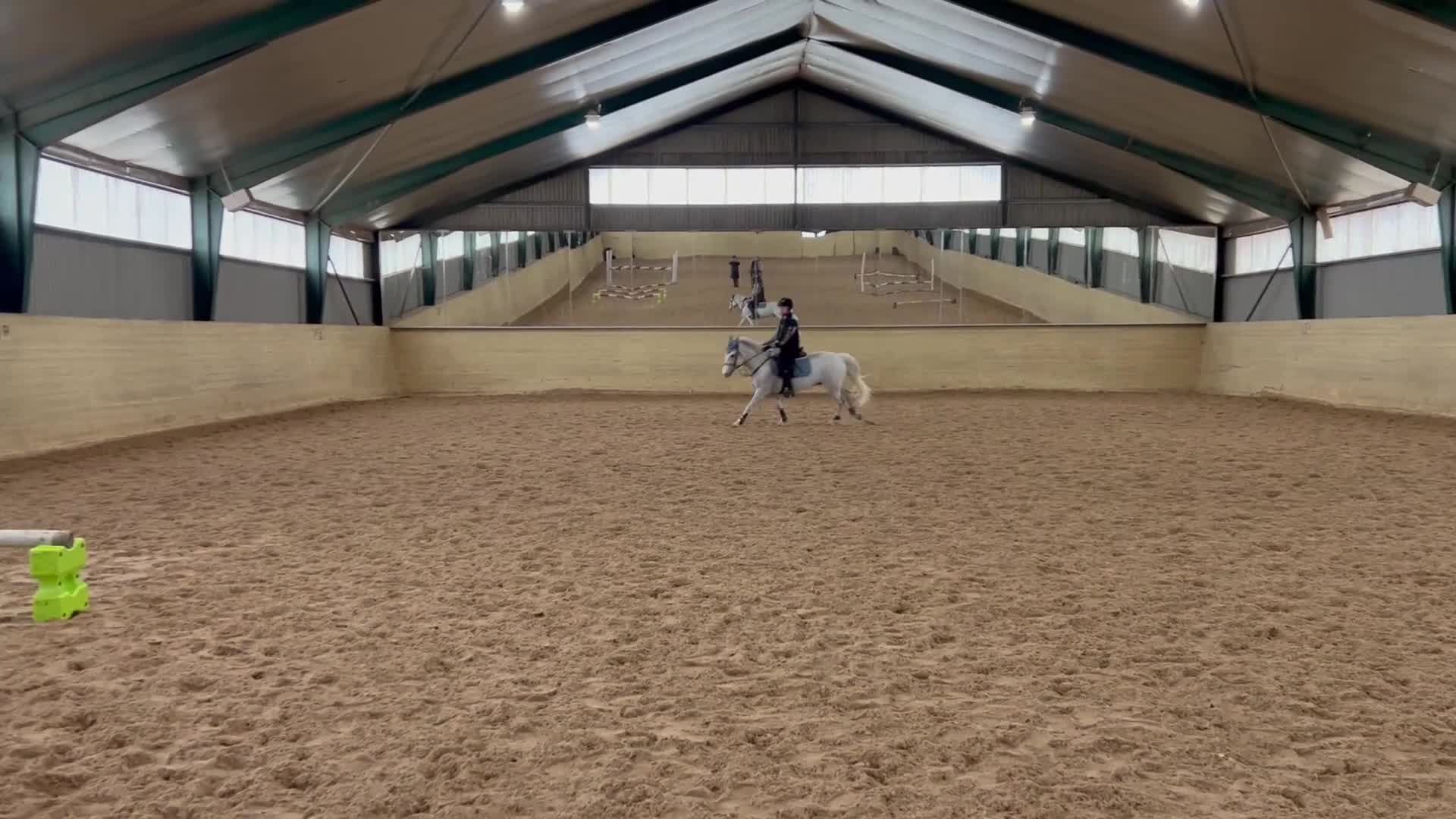 Allround hästar till salu: Ponnyn för alla grenar - Video 2