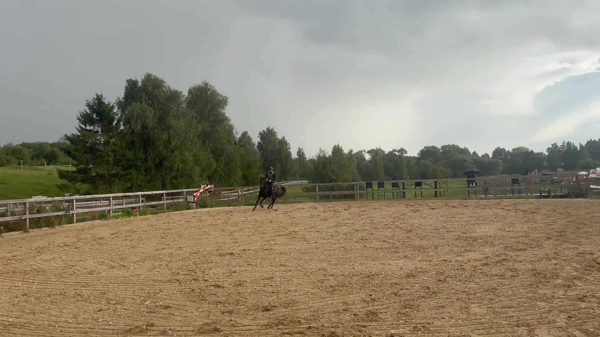 Hoppning hästar till salu: Smuk FEI springpony - Video 1