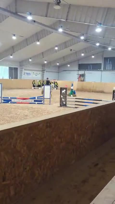 Hoppning hästar till salu: Läromästare till salu  i Kilafors - Video 1