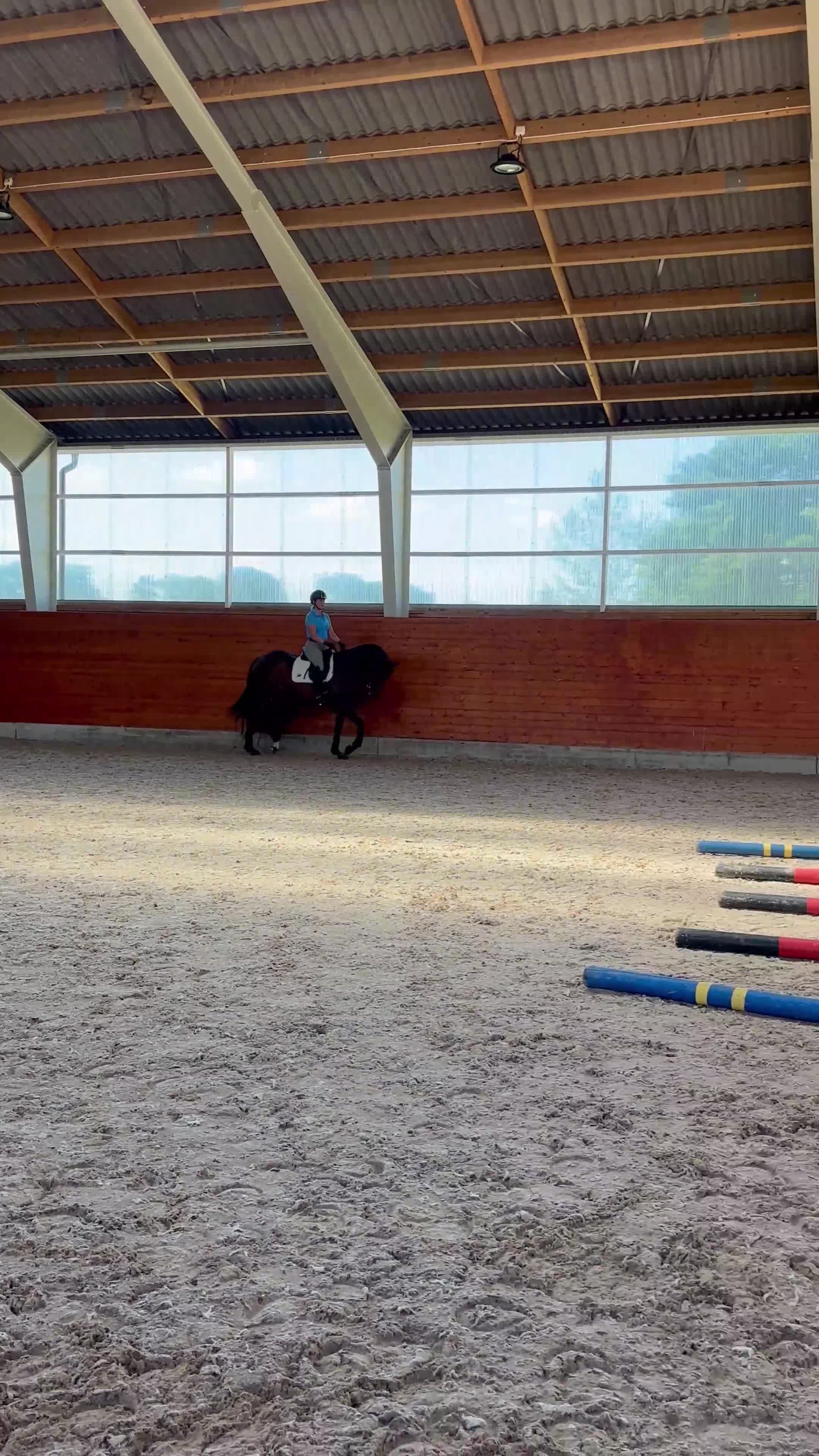 Allround hästar till salu: 5 årigt sto med bra temperament och hopptalang - Video 1