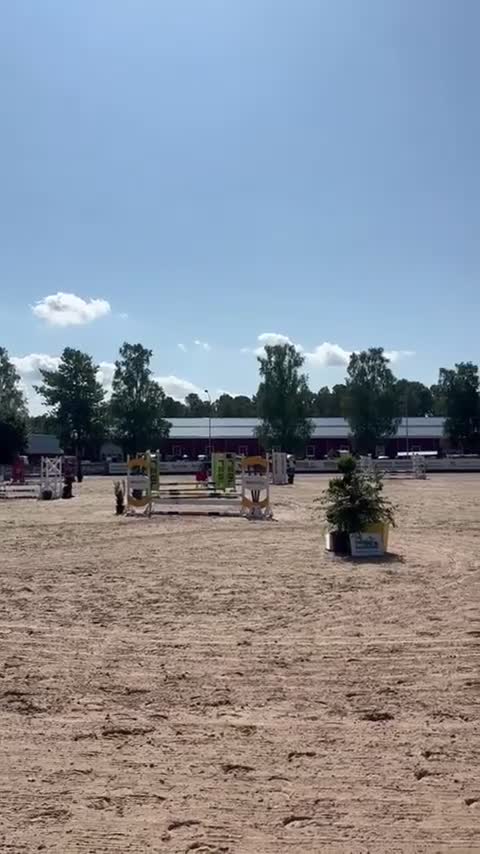 Allround hästar till salu: Fin allroundponny - Video 2