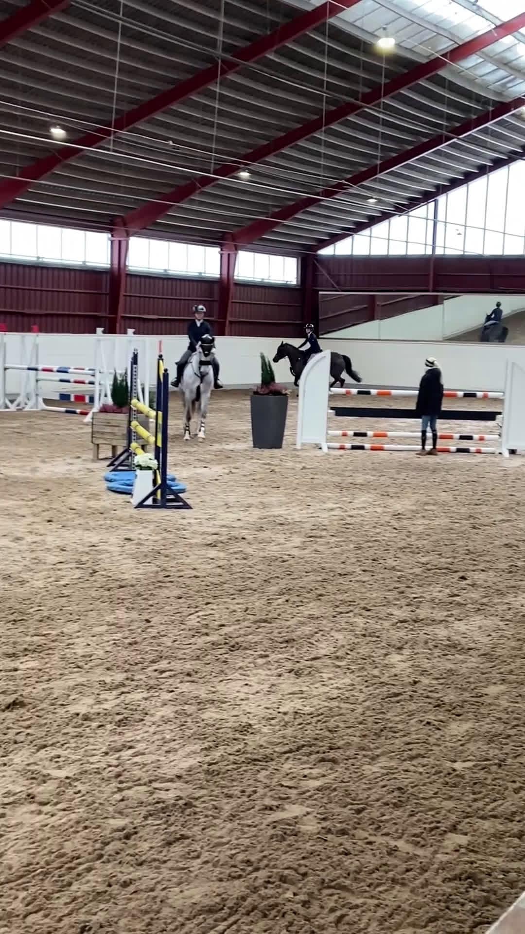 Allround hästar till salu: Trevlig Valack 6år - Video 3