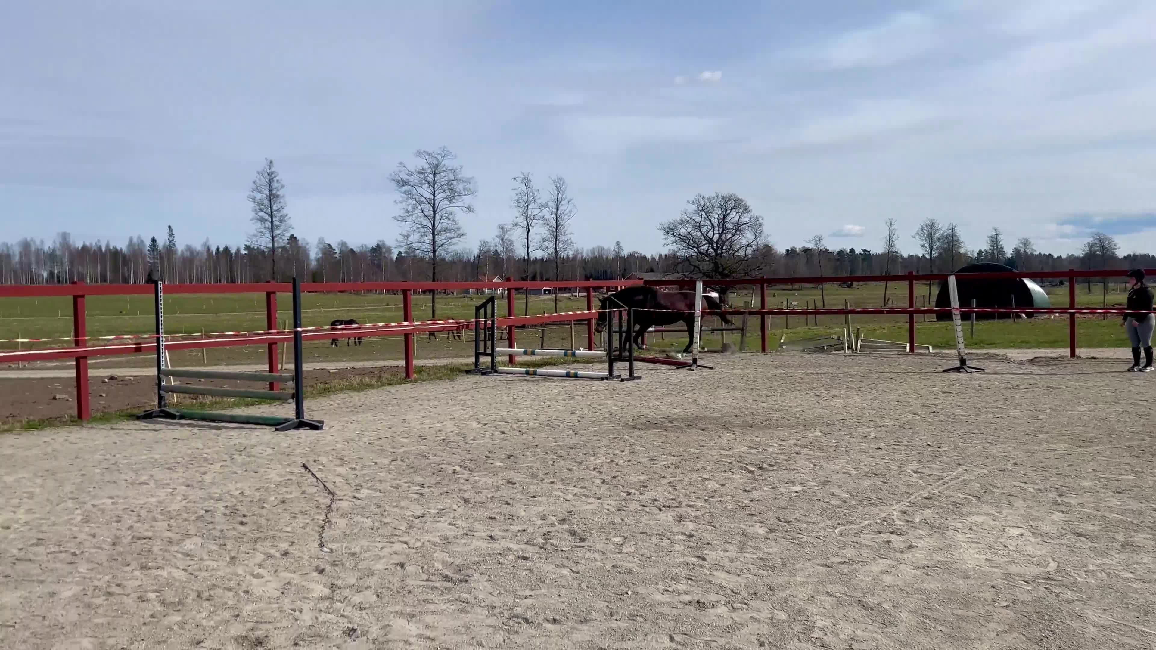 Hoppning hästar till salu: Fin valack -22 e. Contant Q - Video 2