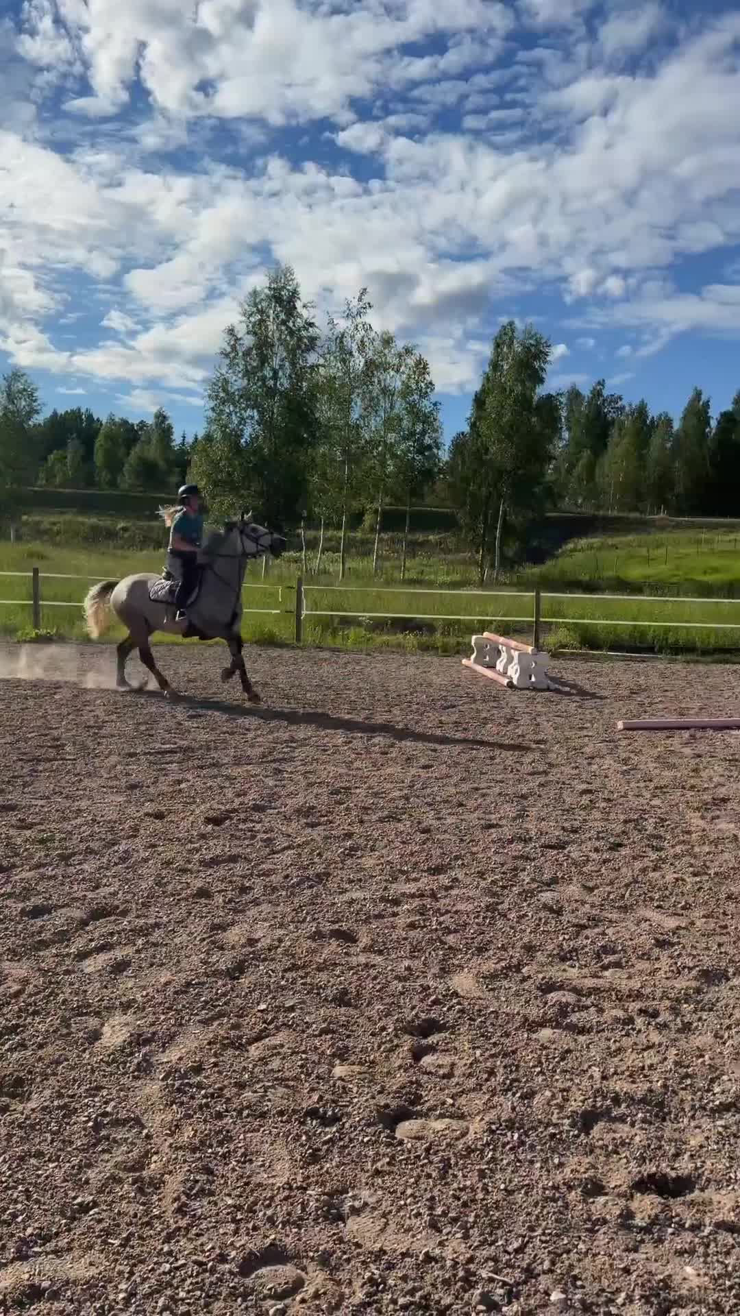 Hoppning hästar till salu: Tävlingsponny  - Video 1