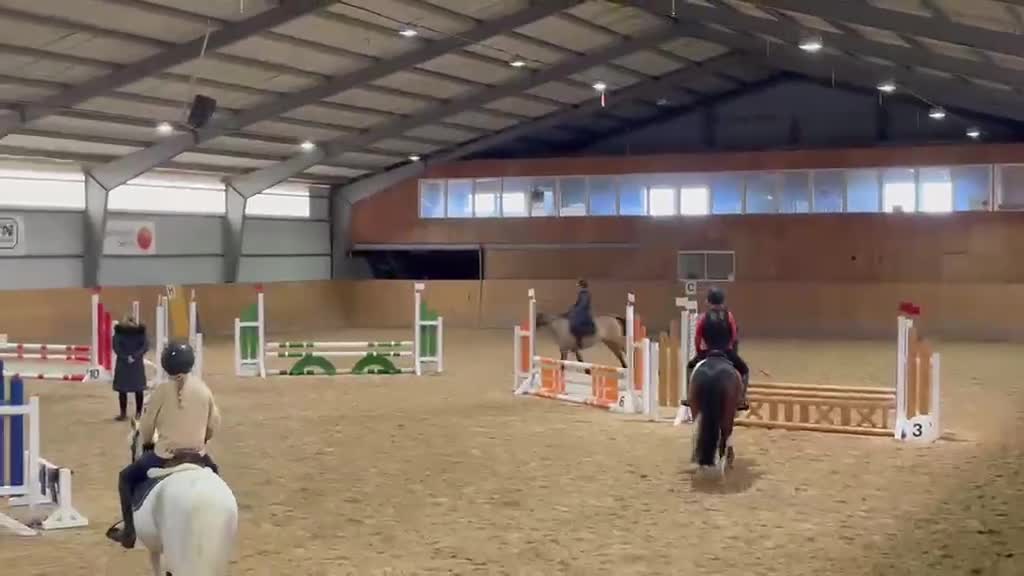 Allround hästar till salu: Allroundponny - Video 1