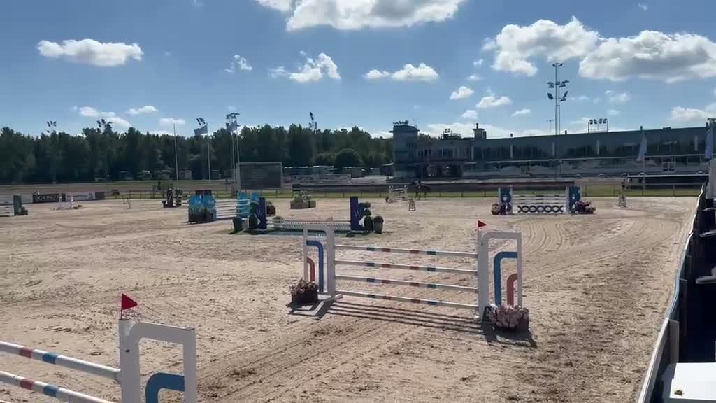 Hoppning hästar till salu: Bästa vän i vardag och på tävling - Video 4