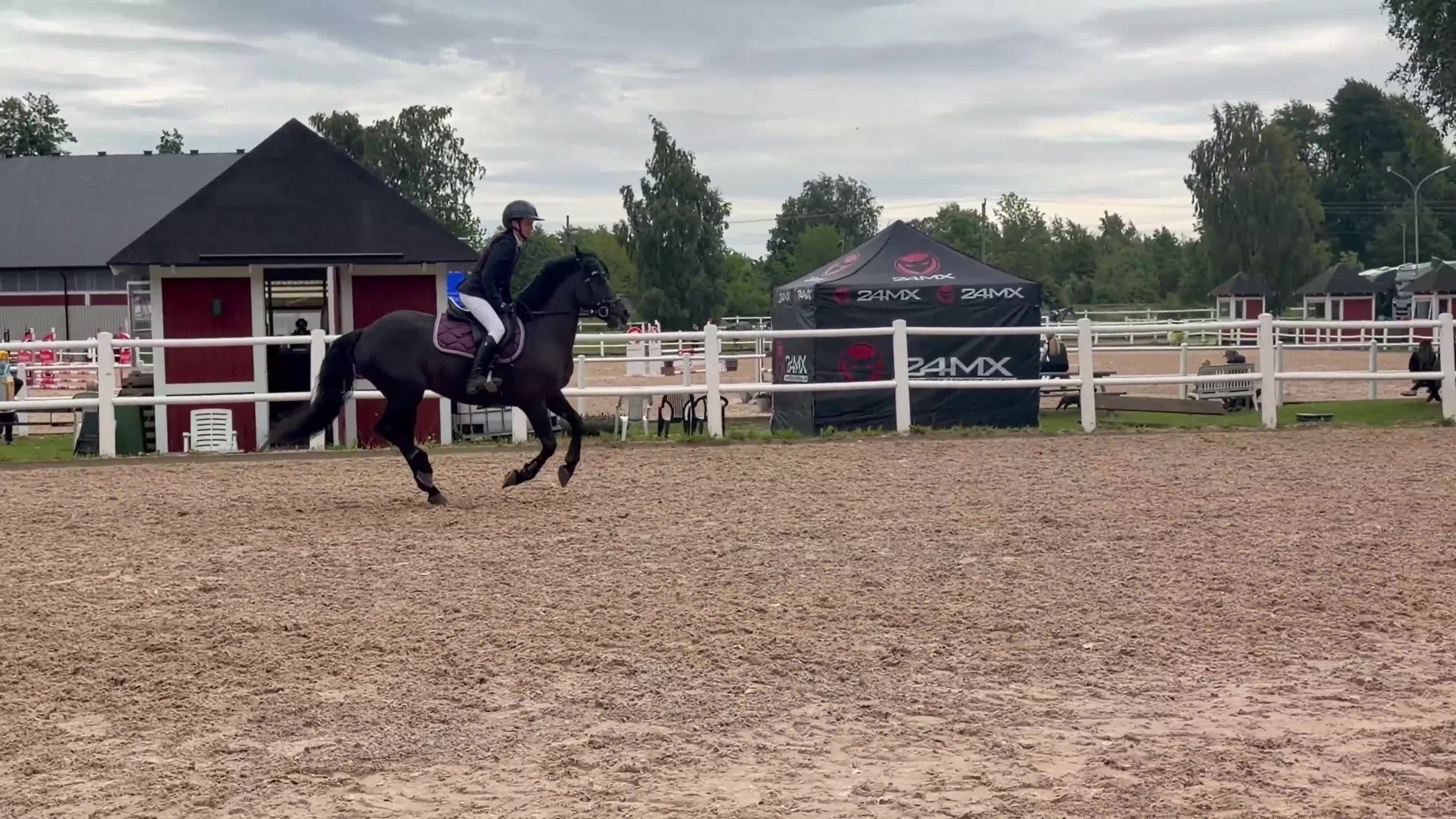 Hoppning hästar till salu: Fantastisk ponny söker sitt nya hem!  - Video 2