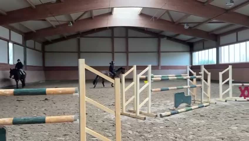 Hoppning hästar till salu: Childrens häst med stort hjärta! - Video 3