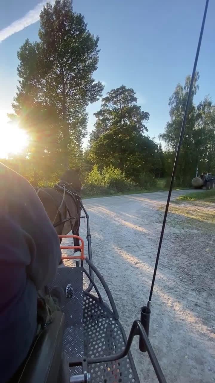 Körning hästar till salu: Kör/allround häst i Hallabro - Video 1
