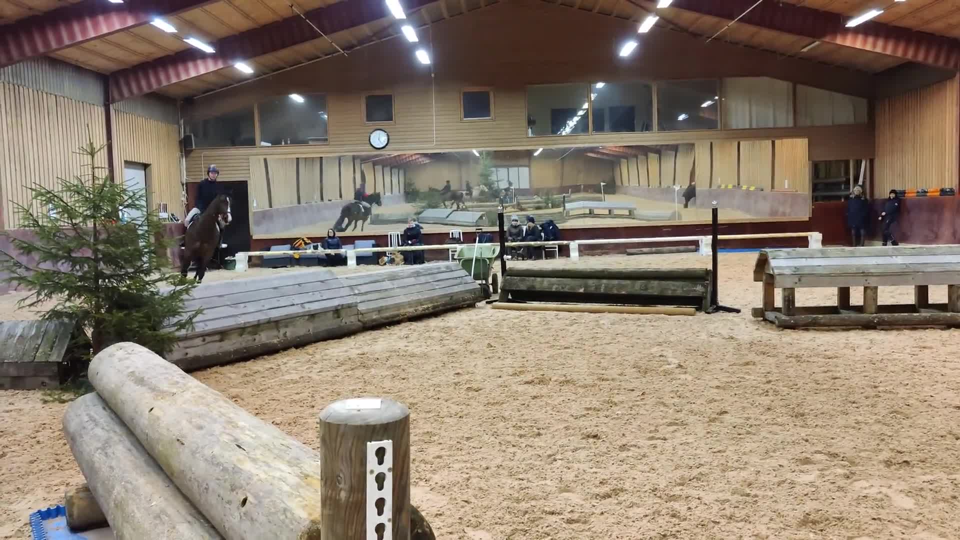 Allround hästar till salu: Trevligt och talangfullt sto - Video 1
