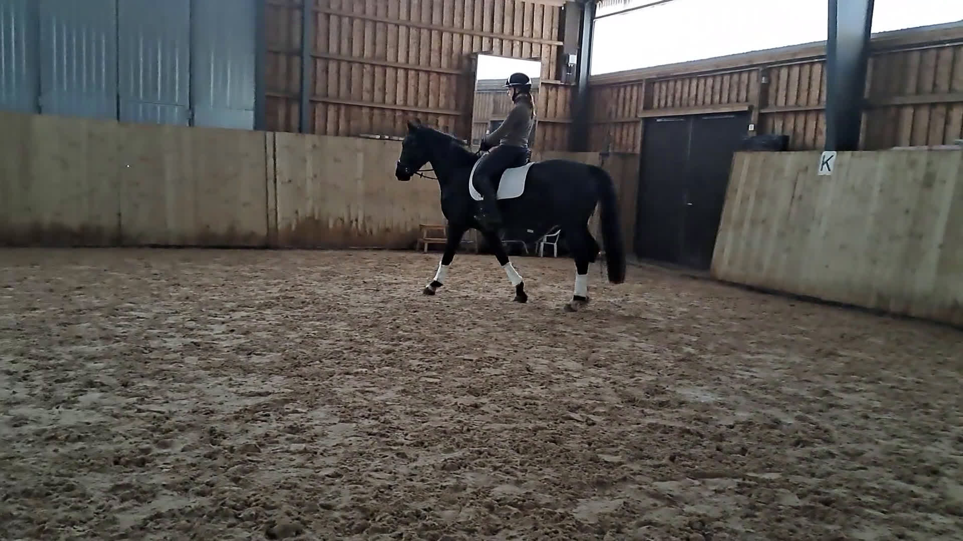 Dressyr hästar till salu: Trygg lovande unghäst med GP möderne - Video 3