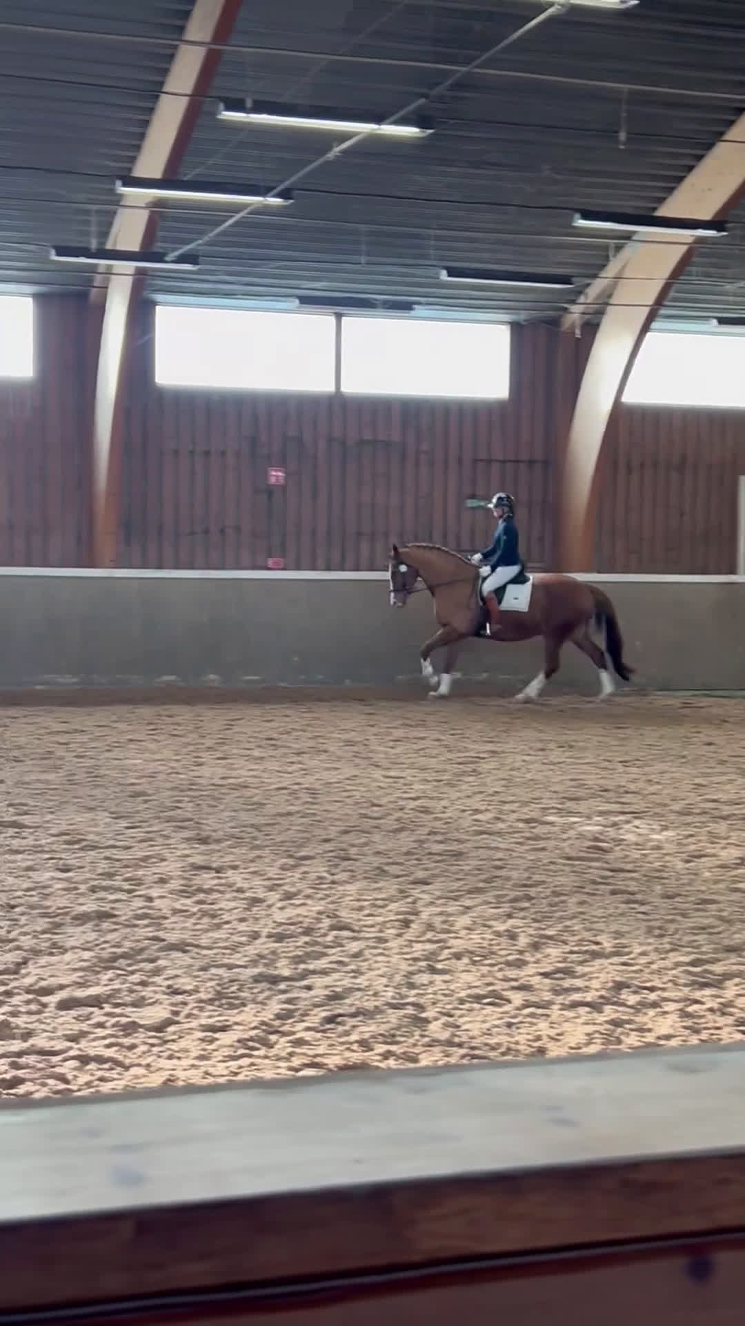 Dressyr hästar till salu: Härlig Snygg Valack Säljes! - Video 2