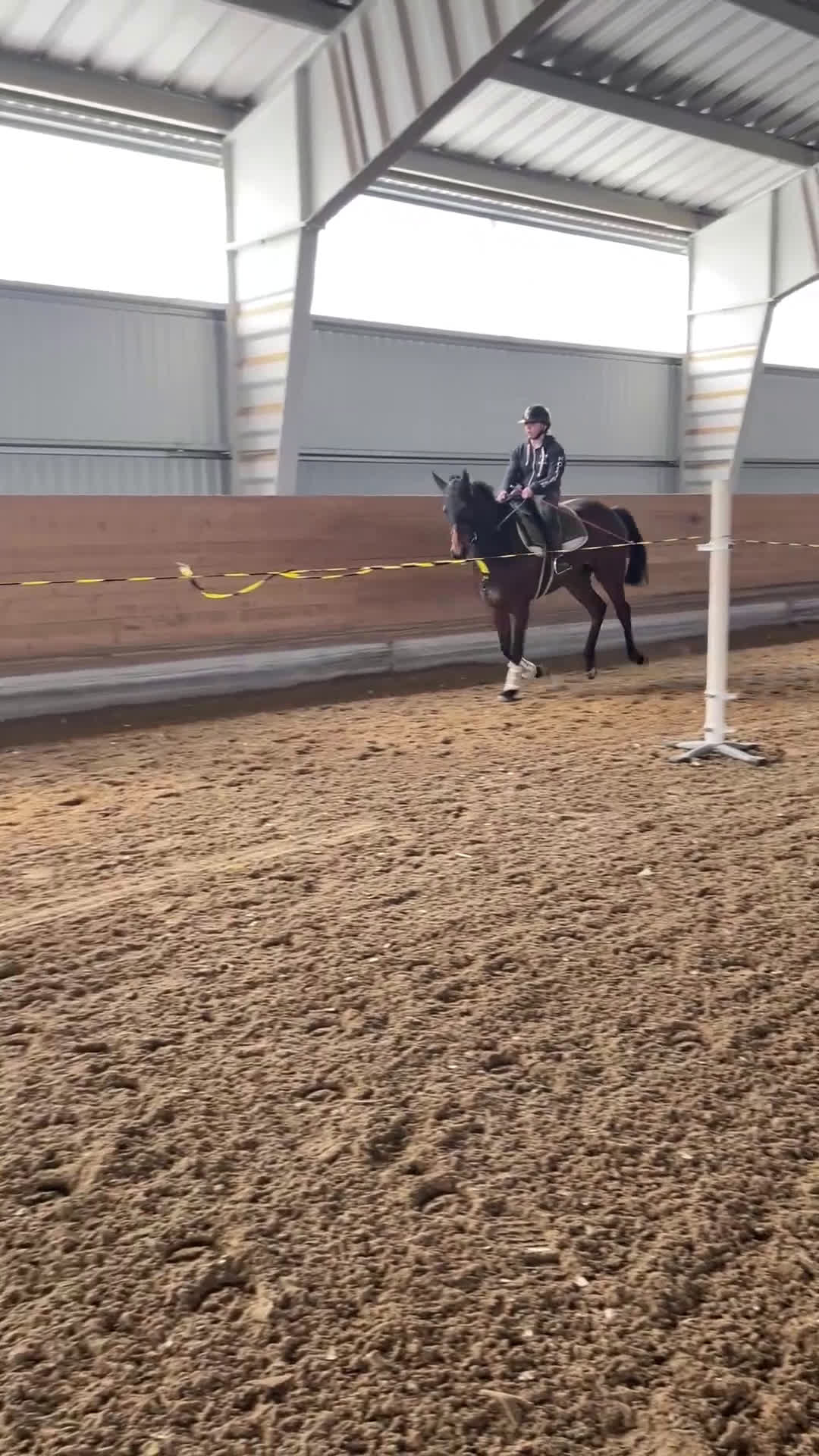 Övrigt hästar till salu: Till Dig med kunskap och tid! i Bälinge - Video 2