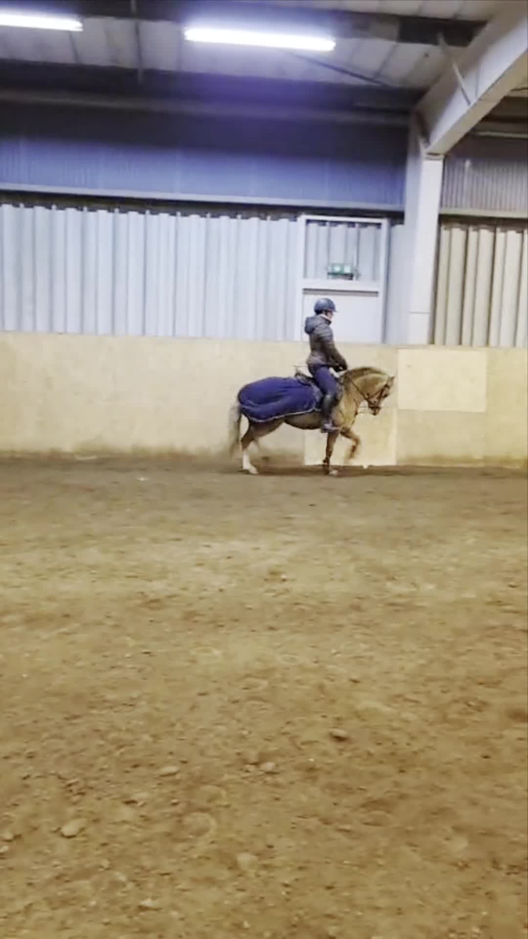  hästservice finnes: 🐴 Utbildning & förmedling på Stall Ljunganäs 🌿 - Video 2