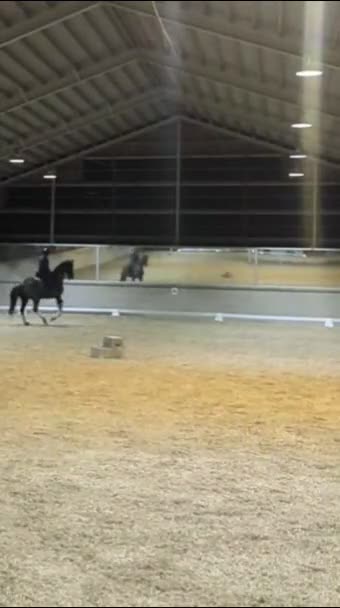 Dressyr hästar till salu: Fantastiskt valack med talang för piaff  i Väring - Video 3