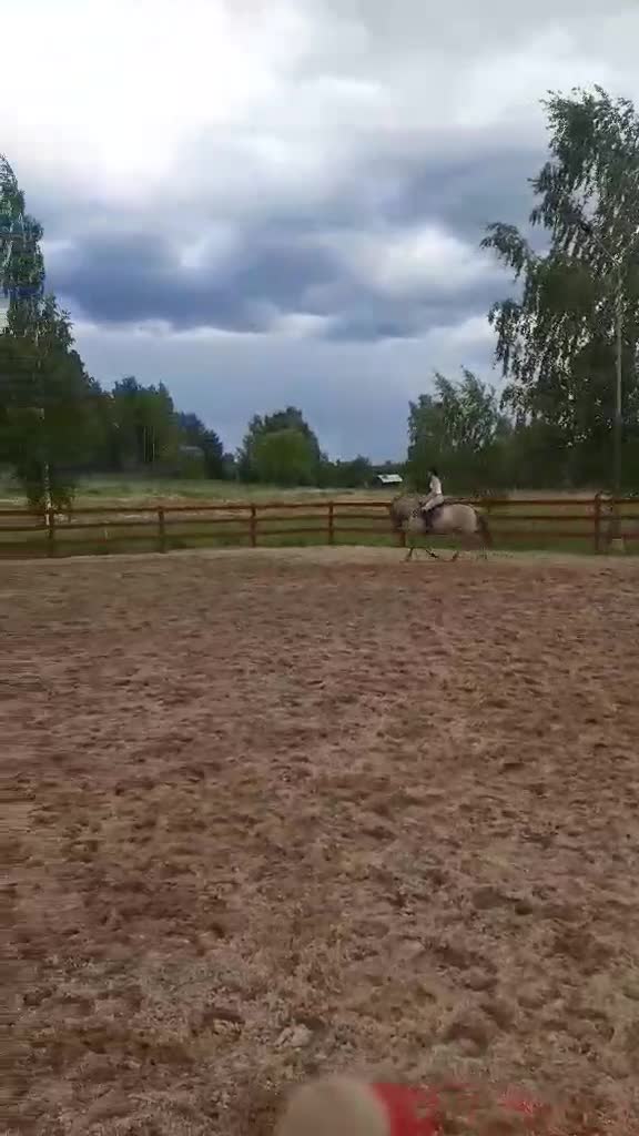 Allround hästar till salu: Rolig allroundponny i Delsbo - Video 1