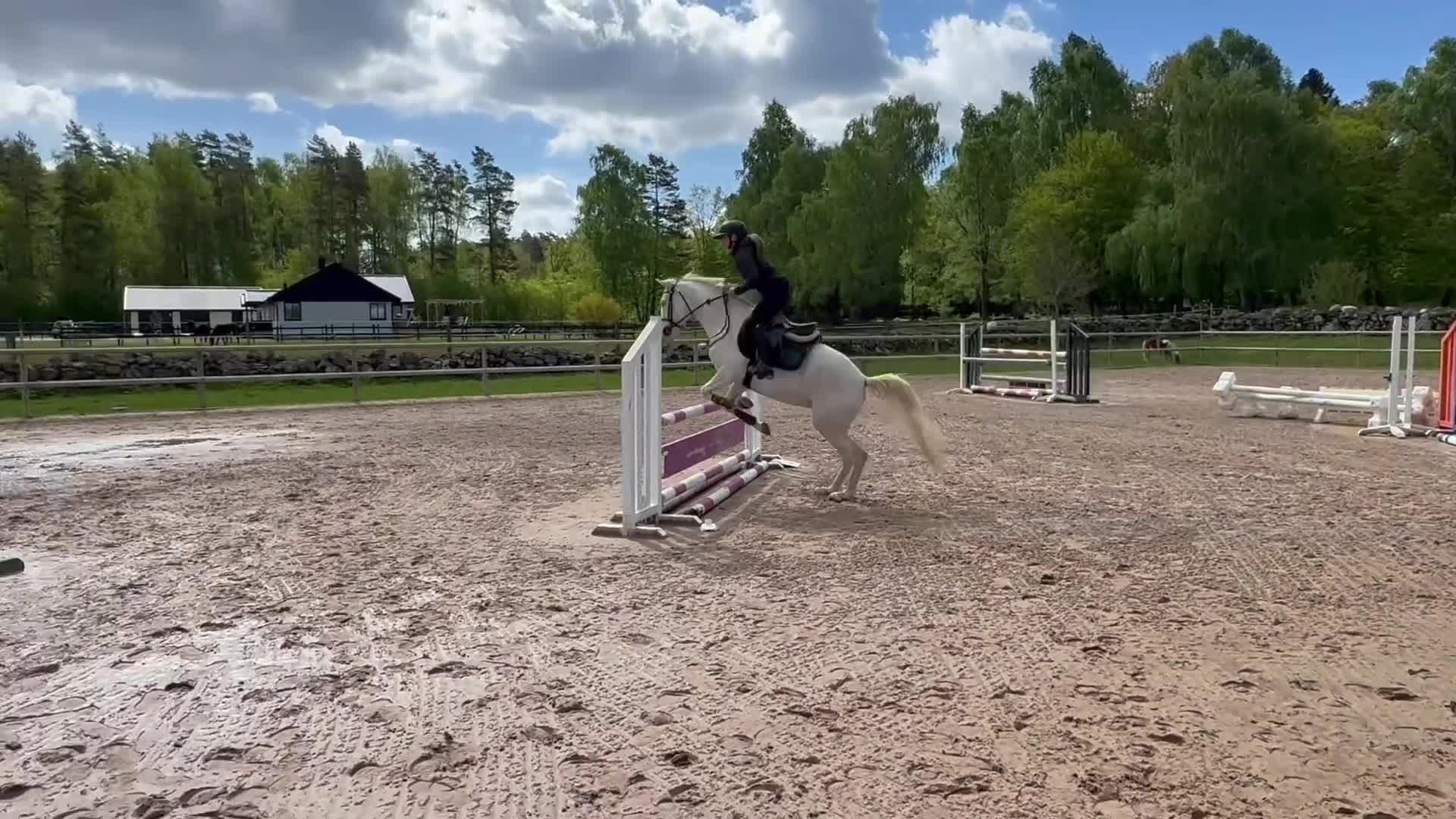 Allround hästar till salu: 🤍Drömponnyn🤍 - Video 3