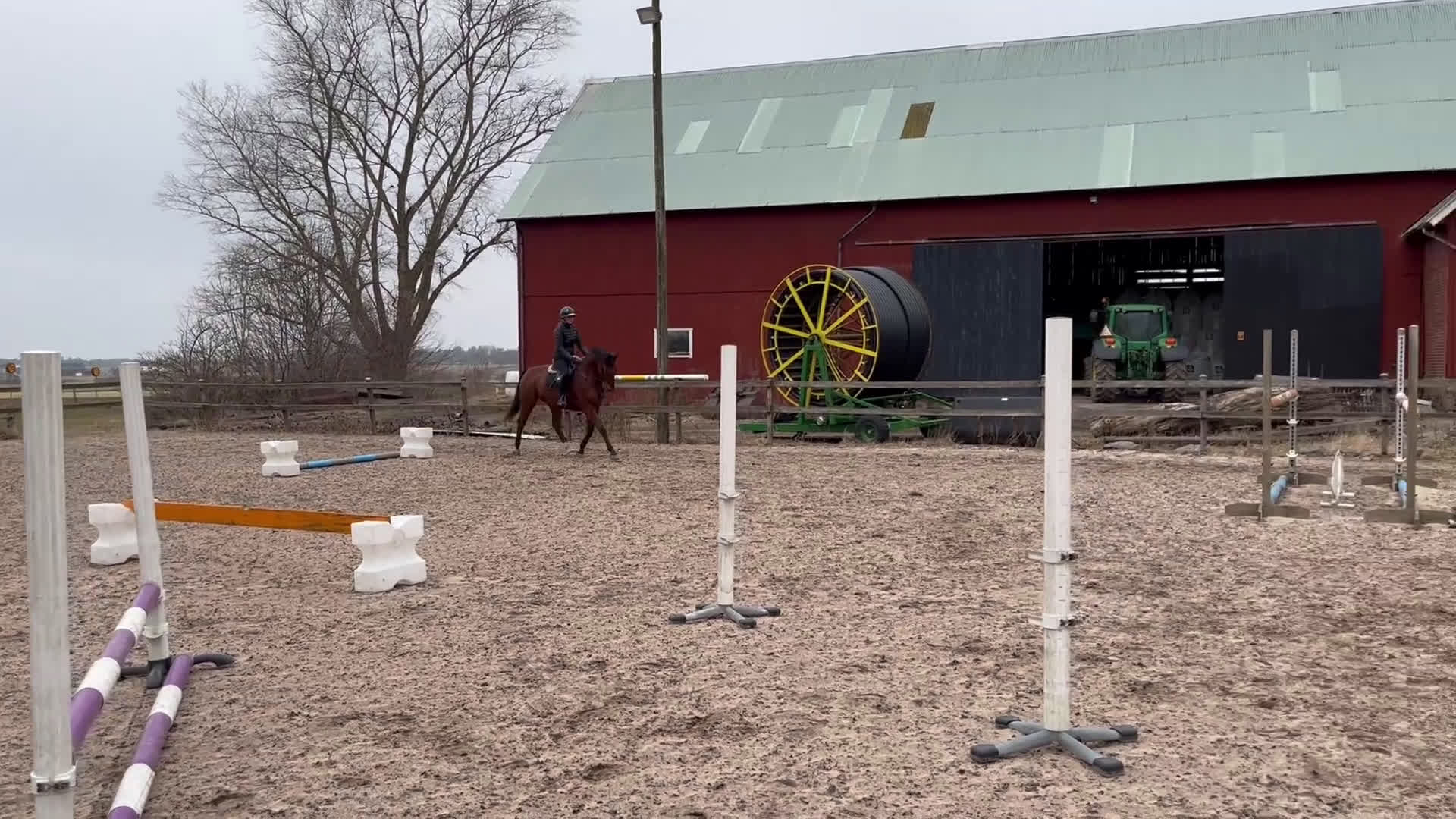 Hoppning hästar till salu: Max Verstappen  - Video 5