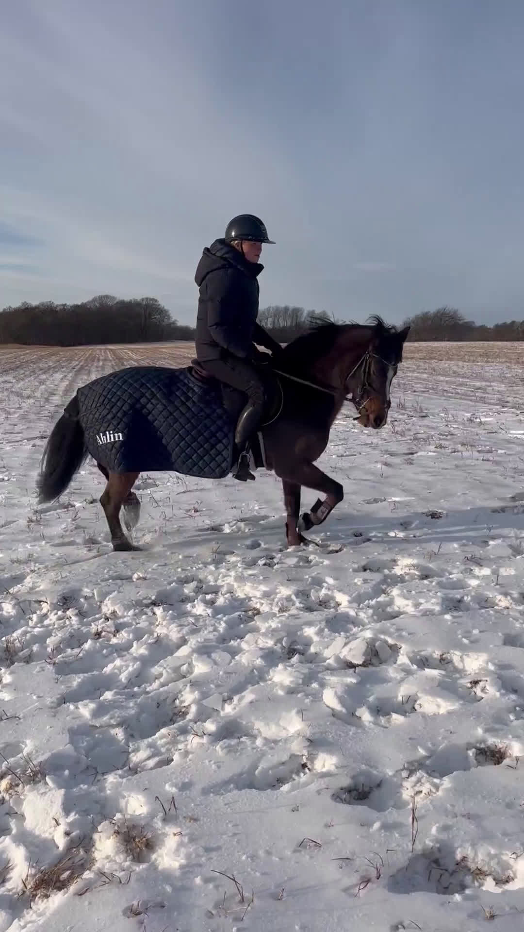 Allround hästar till salu: Trygg läromästar ponny i Ängelholm - Video 1