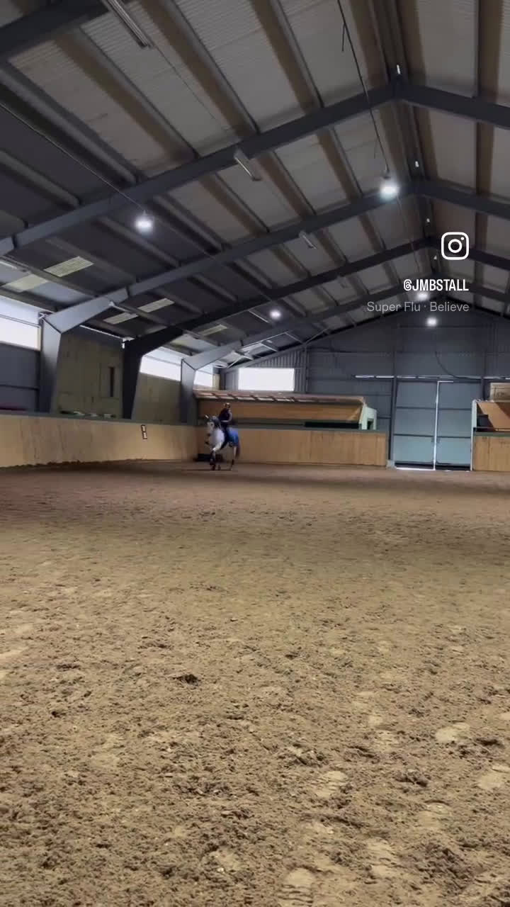 Dressyr hästar till salu: Mycket trevlig PRE-valack - Video 1