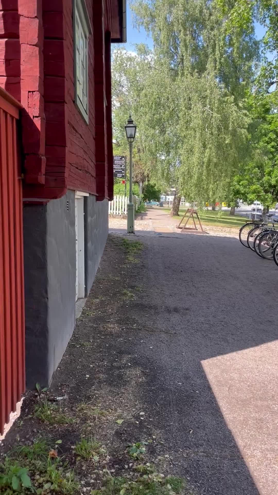 Körning hästar till salu: Bästa Marino  - Video 1