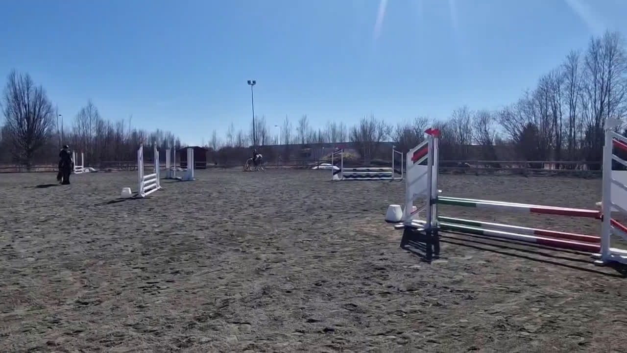 Allround hästar till salu: Bästa vän - Video 2