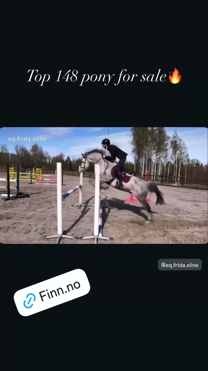 Hoppning hästar till salu: Flott sprangponni med stor kapasitet selges! - Video 2