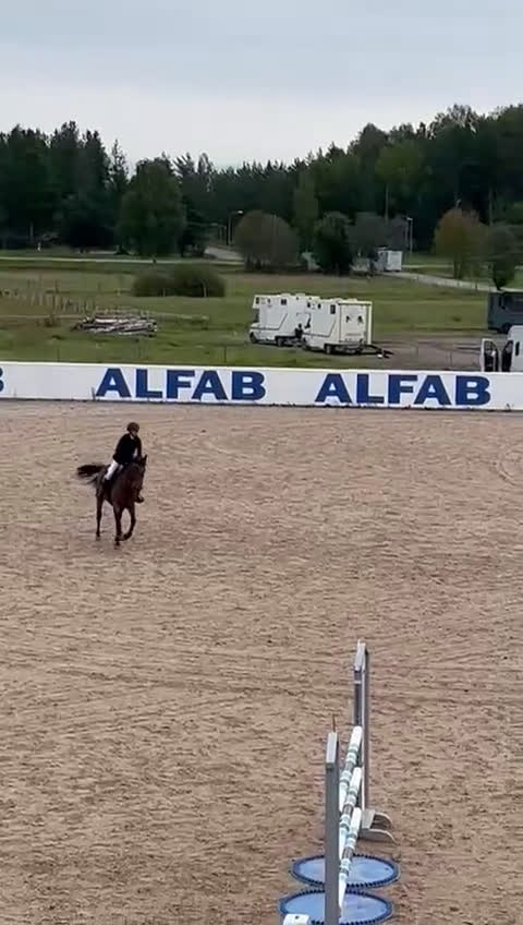 Hoppning hästar till salu: Roscrib Butterfly sto f 2010 - Video 2