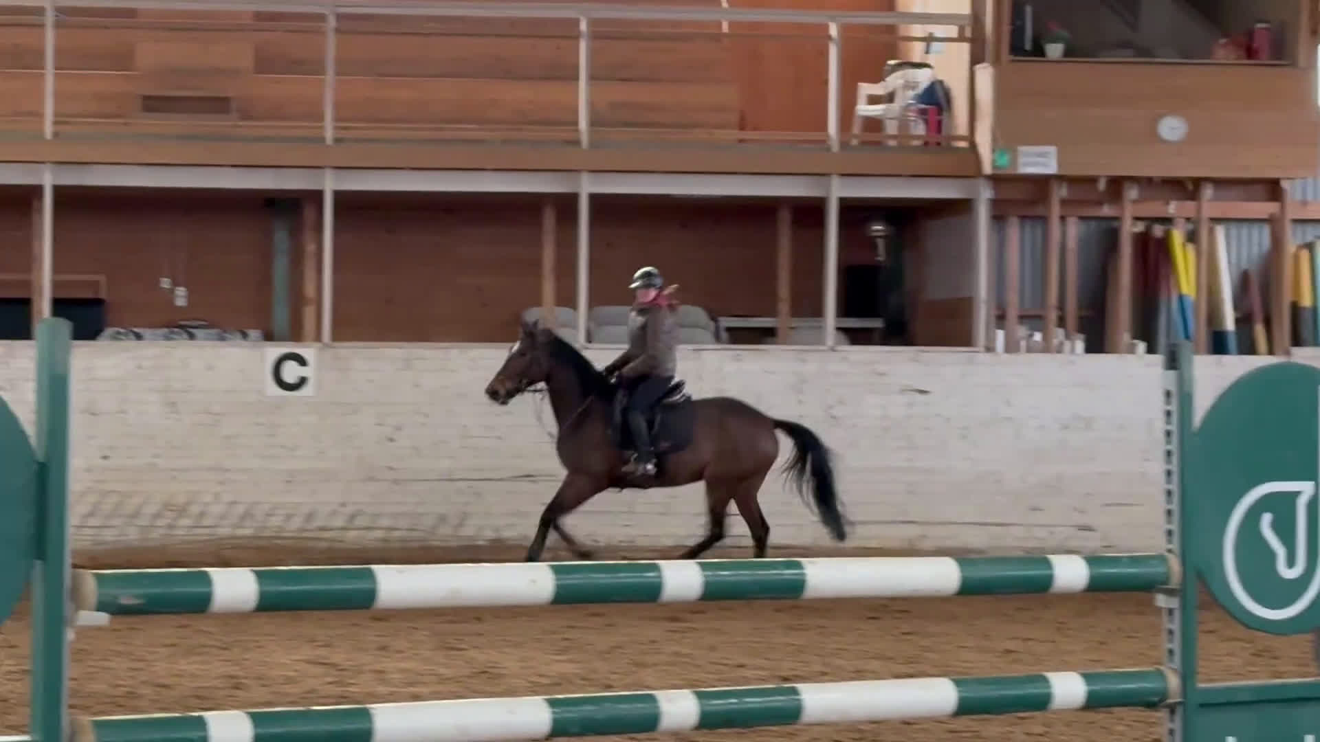 Hoppning hästar till salu: 2019 sto e. Million Dollar/For pleasure/Carthago i Norrköping - Video 3