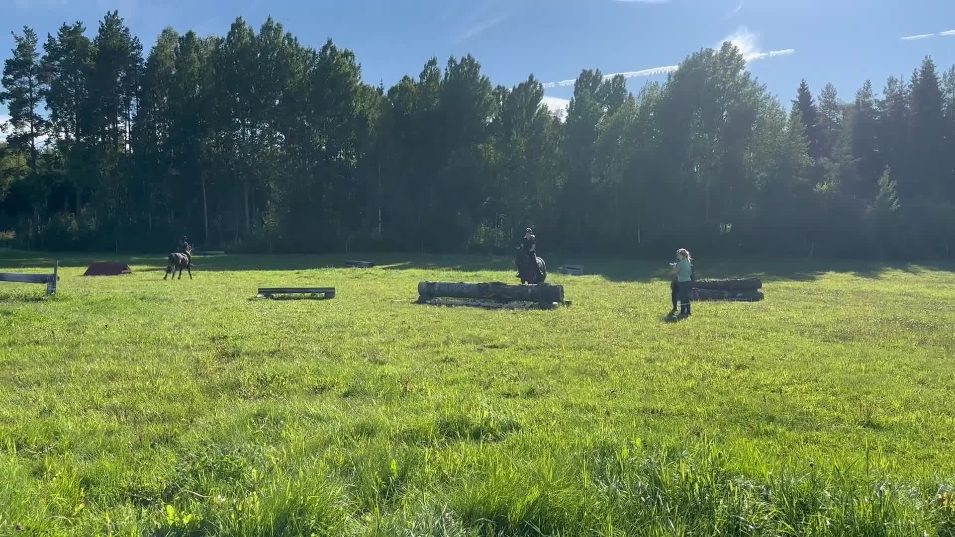 Hoppning hästar till salu: Välutbildad läromästare med hjärta av guld ❤️ - Video 4