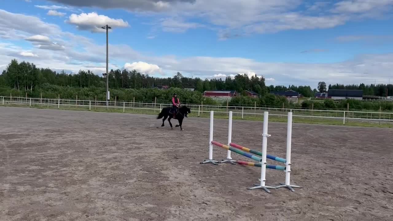 Allround hästar till salu: Fin kallblodstravare söker nytt hem🌟 i Boden - Video 4