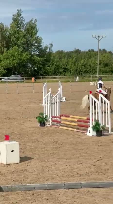 Allround hästar till salu: Supertrevlig allroundponny! 🌟 - Video 2