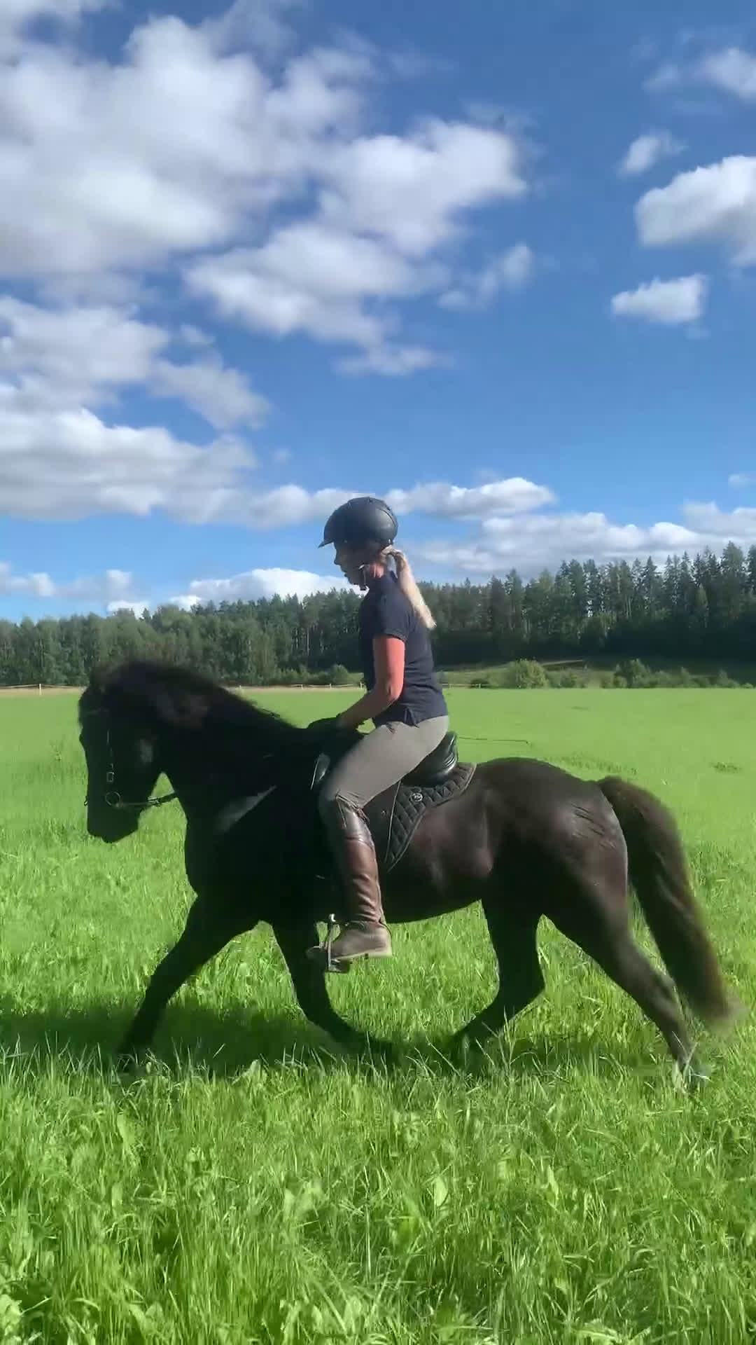 Island hästar till salu: Flott valack i Rengsjö - Video 4