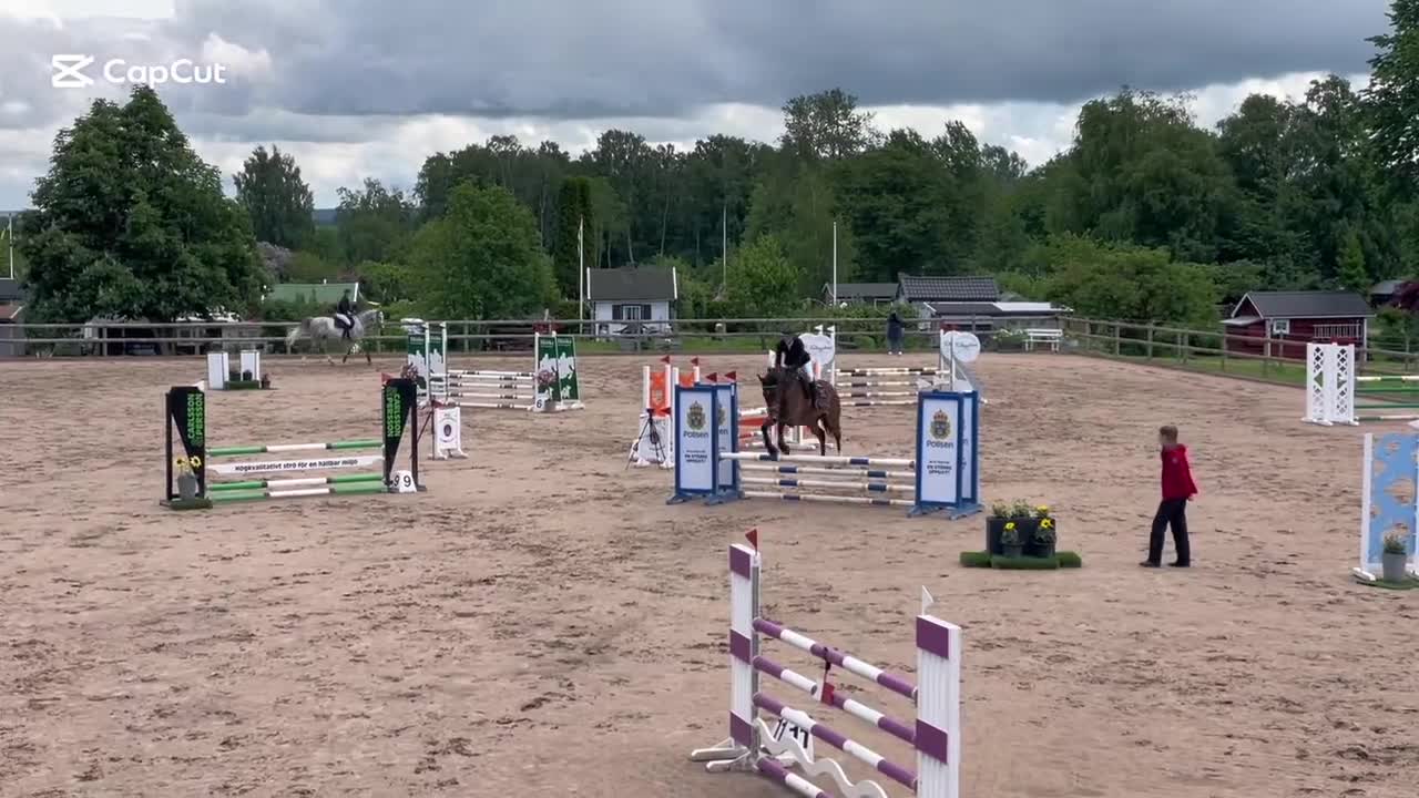 Hoppning hästar till salu: Snygg valack  i Falköping - Video 1
