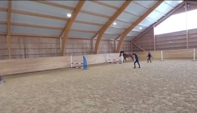 Hoppning hästar till salu: Jättefin häst till ett jättebra pris!  - Video 1