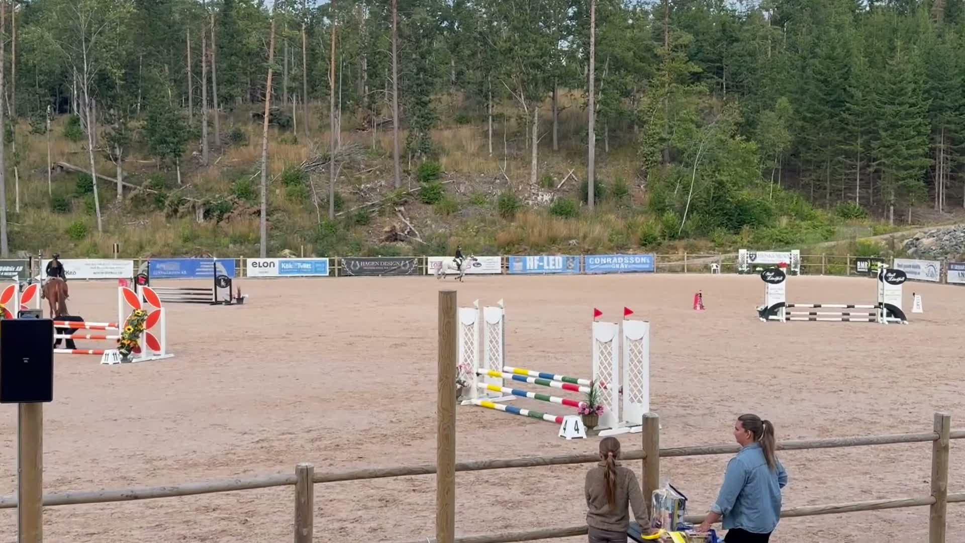 Hoppning hästar till salu: Charmig och sockersöt ponny med kapacitet - Video 1
