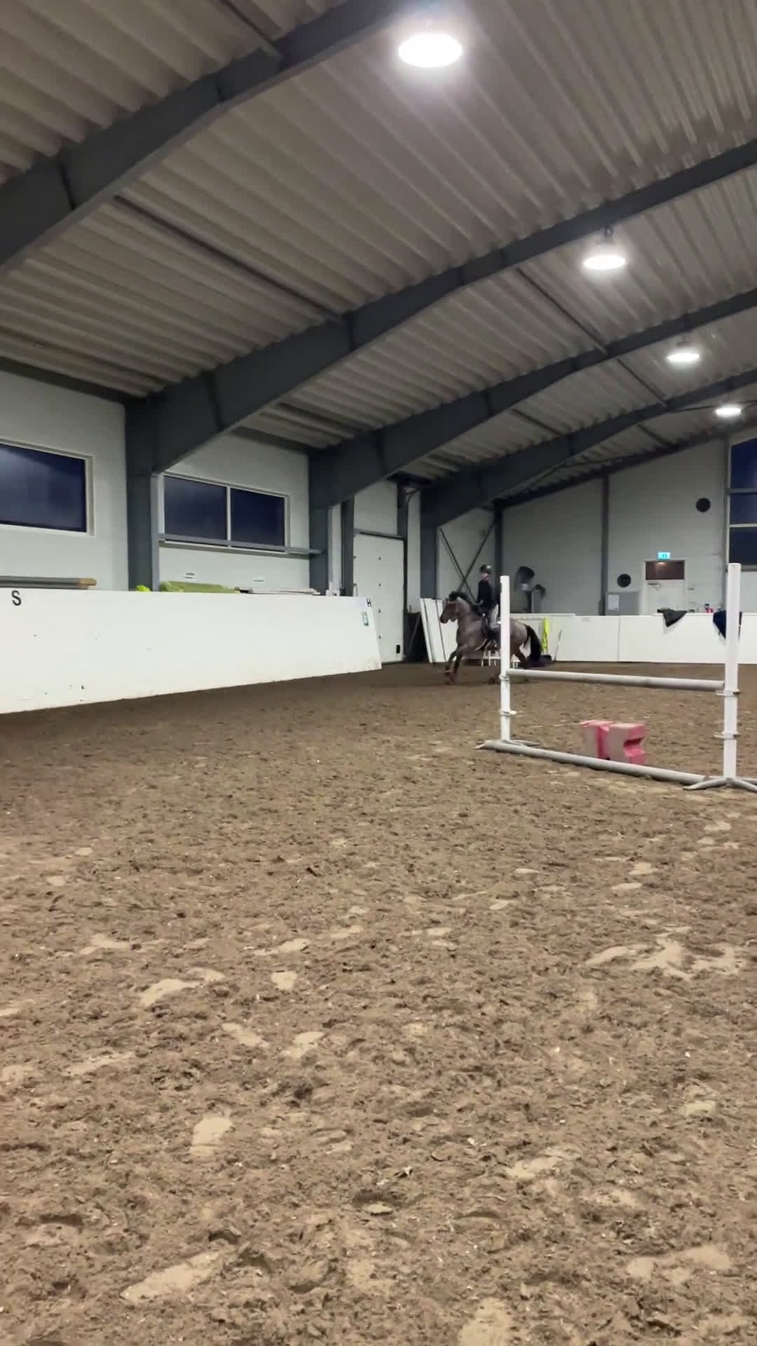 Hoppning hästar till salu: The Tigers Eye i Täby - Video 2