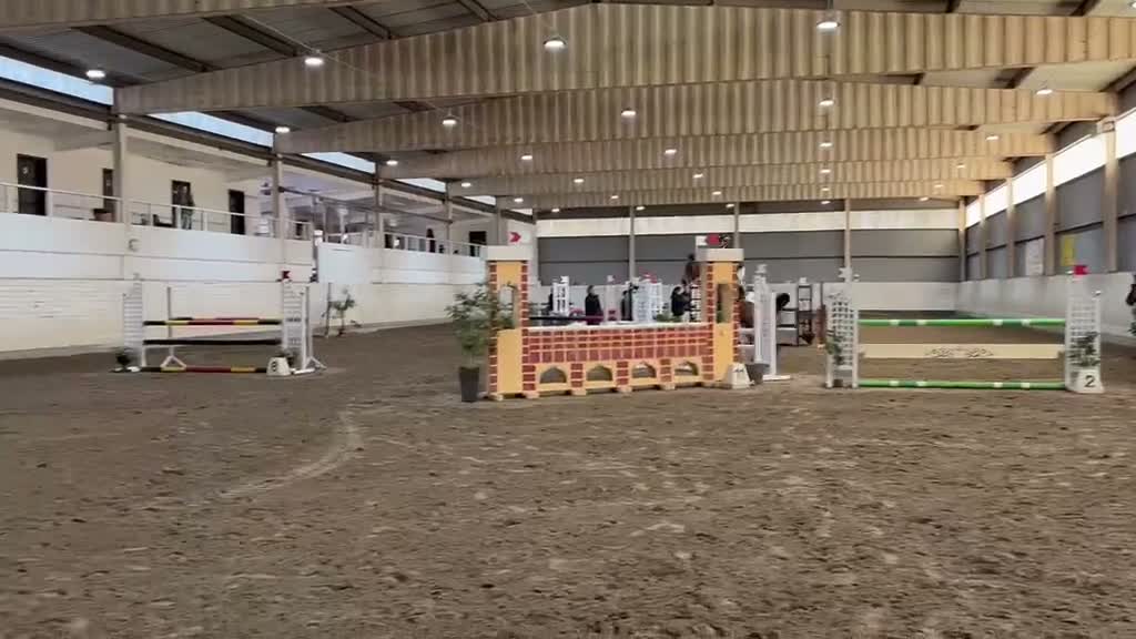 Hoppning hästar till salu: Positiv tävlingshäst med stor kapacitet🌟 - Video 2