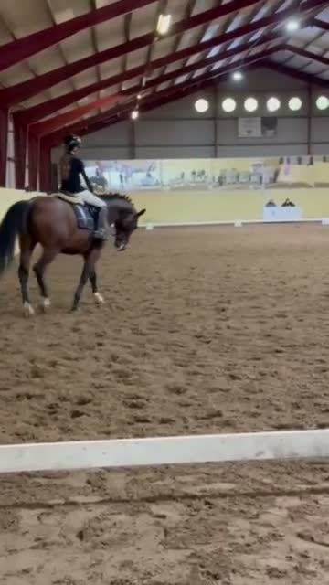 Allround hästar till salu: D- ponny med power och kapacitet! - Video 2