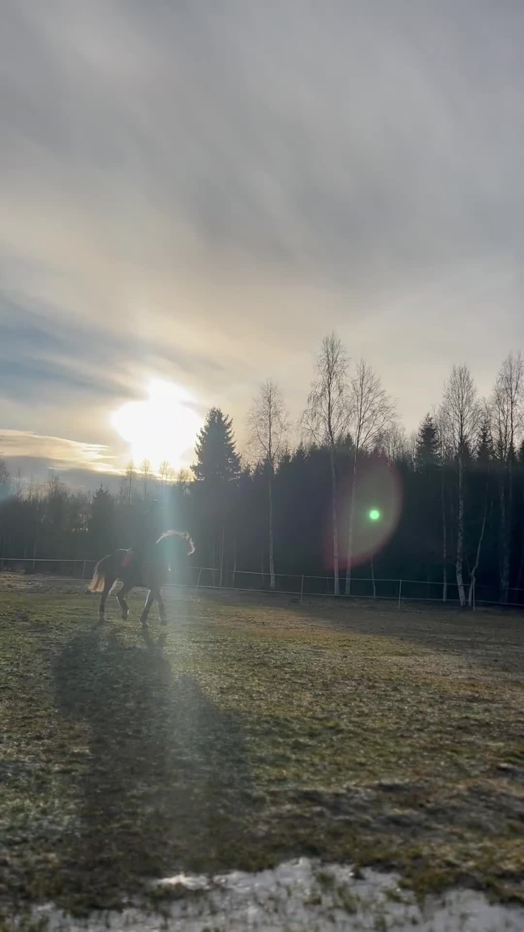 Allround hästar till salu: Häftig tjej med mycket power - Video 1