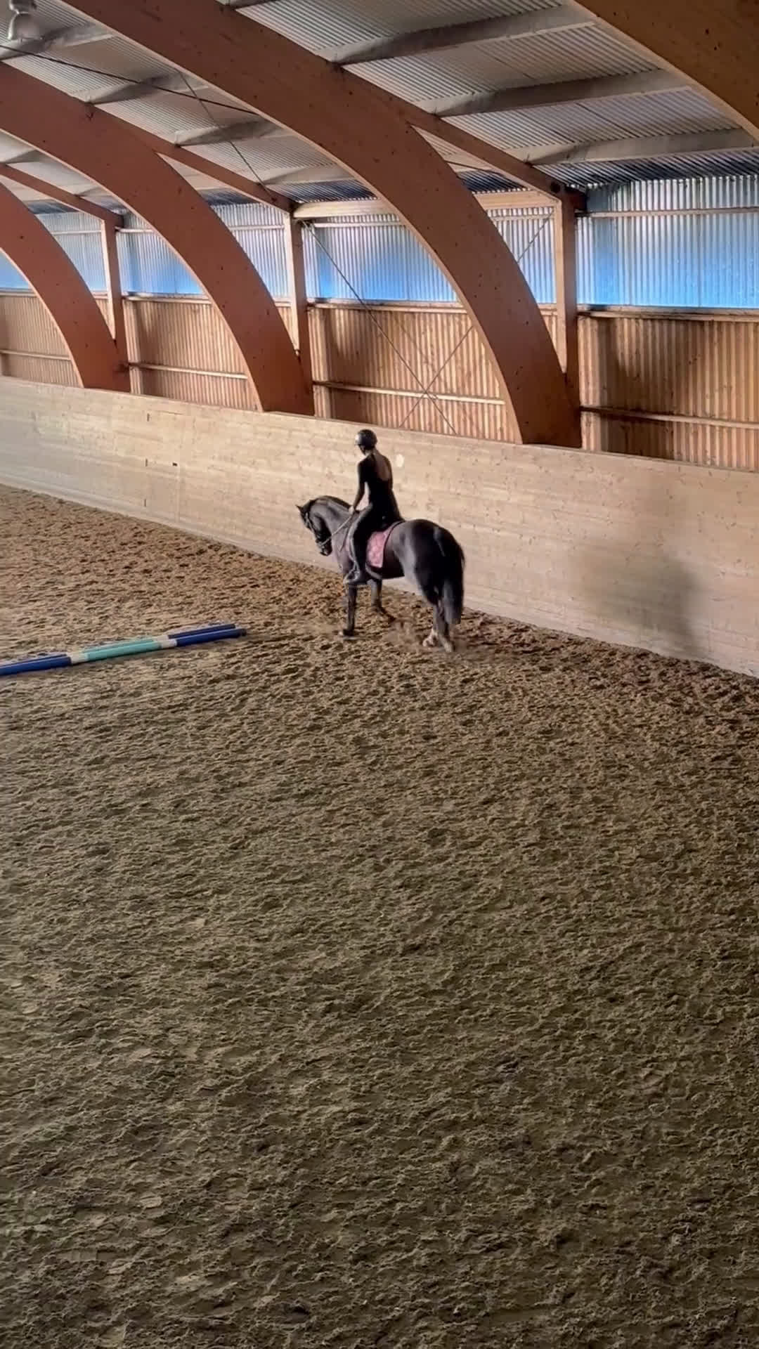 Allround hästar till salu: Fin läromästare❤️ i Vallda - Video 2