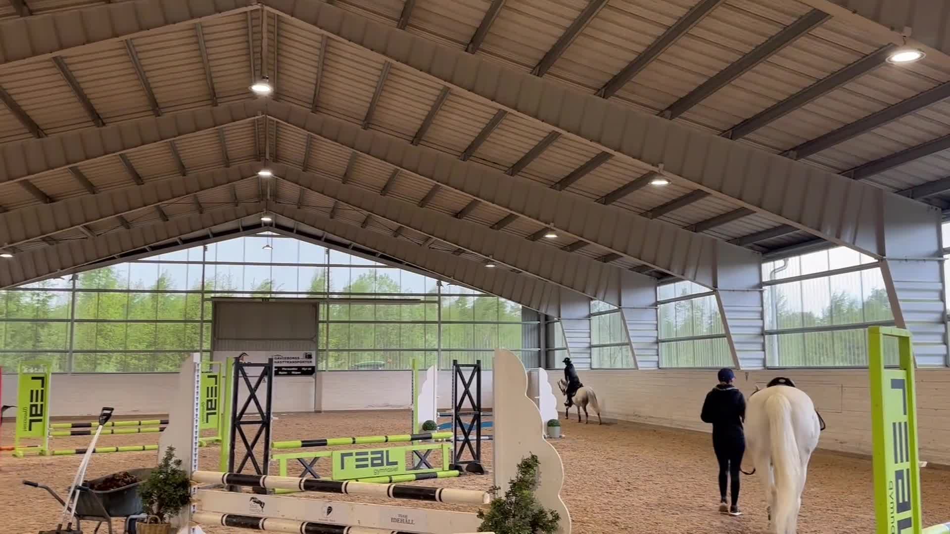 Hoppning hästar till salu: Utvecklingsbar hopponny med kapacitet  - Video 4