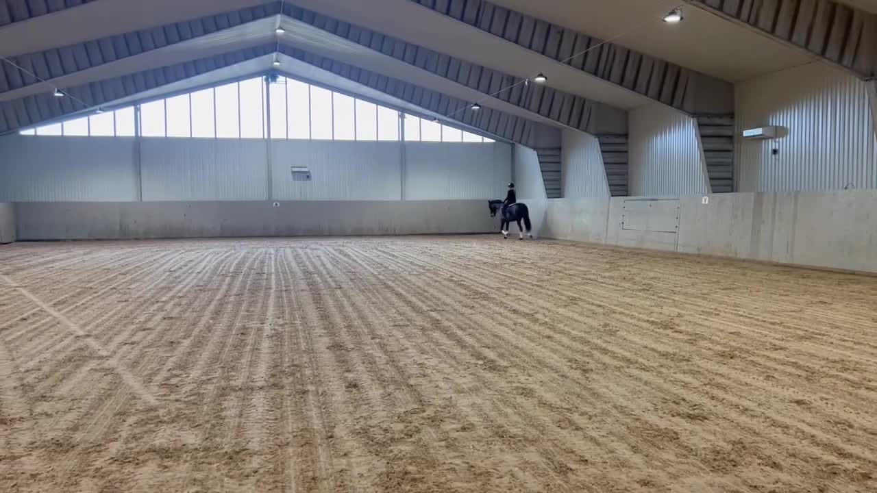 Dressyr hästar till salu: Dressyrhäst med potential  - Video 4