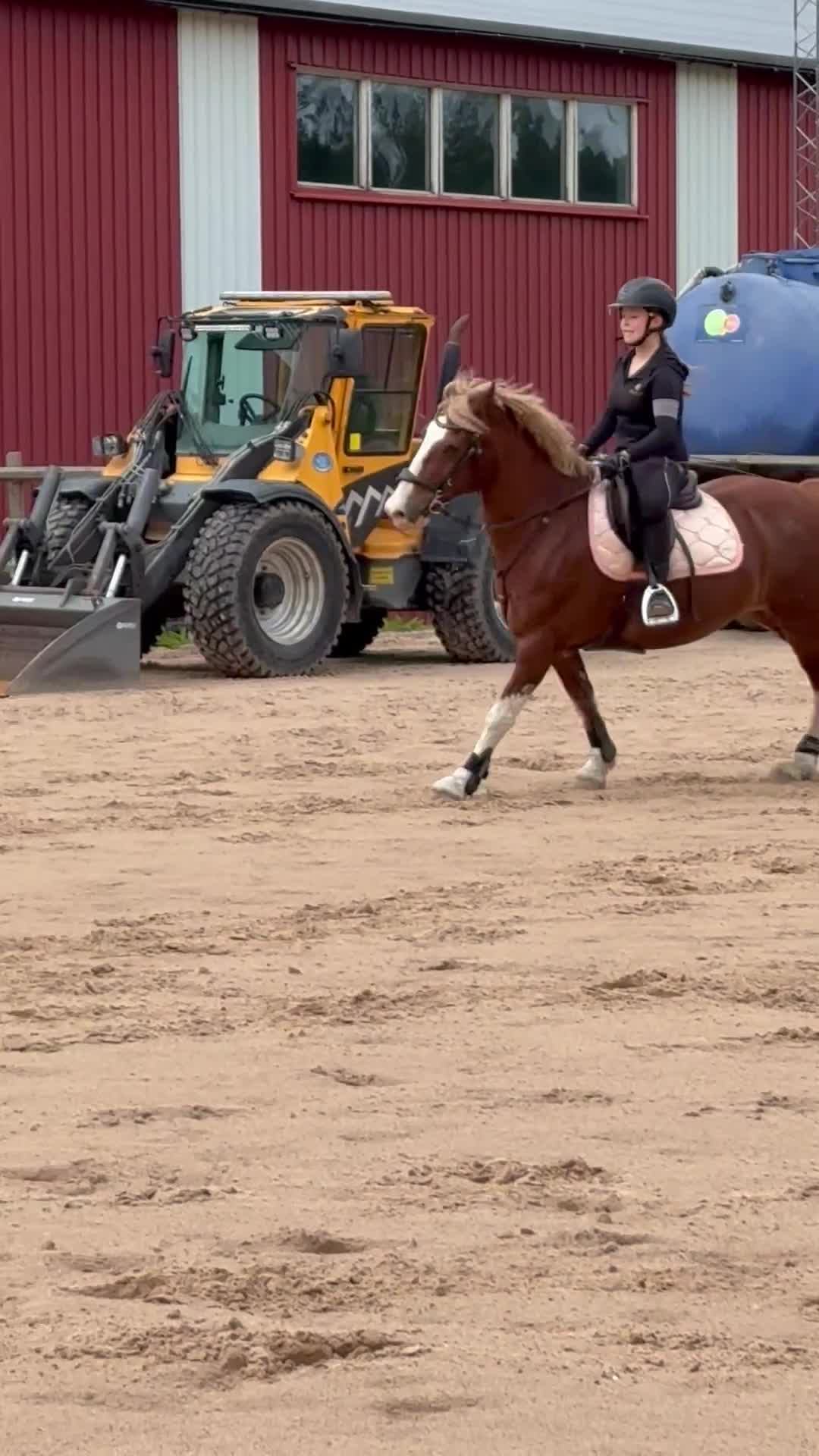 Allround hästar till salu: Vacker maxad c-ponny - Video 1